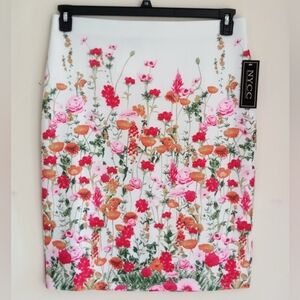 New York & Company Co.